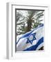 Israeli Flag with Star of David and Palm Tree, Tel Aviv, Israel, Middle East-Merrill Images-Framed Photographic Print