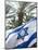 Israeli Flag with Star of David and Palm Tree, Tel Aviv, Israel, Middle East-Merrill Images-Mounted Photographic Print