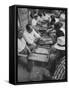 Israeli Men Playing Backgammon-Paul Schutzer-Framed Stretched Canvas