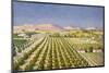 Israeli Orange Grove, Palestine-null-Mounted Art Print