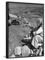 Israeli Shepherd-null-Framed Photographic Print