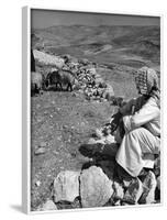 Israeli Shepherd-null-Framed Photographic Print