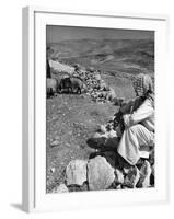 Israeli Shepherd-null-Framed Photographic Print