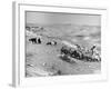 Israeli Shepherd-null-Framed Photographic Print