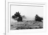 Israeli Tanks Riding Through Egyptian Desert-null-Framed Photographic Print