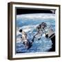 ISS Space Walk-null-Framed Premium Photographic Print