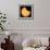 ISS Transit of 2017 Solar Eclipse, Composite Image-null-Framed Photographic Print displayed on a wall