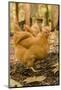 Issaquah, WA. Free-ranging Buff Orpington chickens.-Janet Horton-Mounted Photographic Print