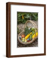 Issaquah, WA. Freshly harvested produce, including cucumbers, squash, strawberries, and tomatoes.-Janet Horton-Framed Photographic Print