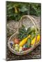 Issaquah, WA. Freshly harvested produce, including cucumbers, squash, strawberries, and tomatoes.-Janet Horton-Mounted Photographic Print