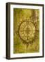 Issaquah, Washington State, USA. Carving of a compass on a moss-covered tree.-Janet Horton-Framed Photographic Print