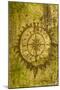 Issaquah, Washington State, USA. Carving of a compass on a moss-covered tree.-Janet Horton-Mounted Photographic Print