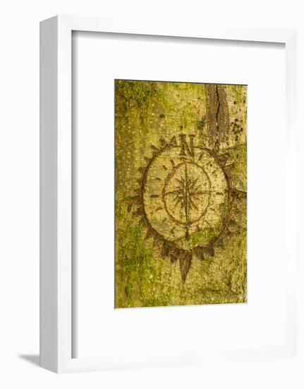 Issaquah, Washington State, USA. Carving of a compass on a moss-covered tree.-Janet Horton-Framed Photographic Print