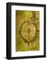 Issaquah, Washington State, USA. Carving of a compass on a moss-covered tree.-Janet Horton-Framed Photographic Print