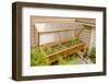 Issaquah, Washington State, USA. Wood greenhouse with a polycarbonate cover and grow lights.-Janet Horton-Framed Photographic Print