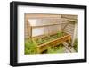 Issaquah, Washington State, USA. Wood greenhouse with a polycarbonate cover and grow lights.-Janet Horton-Framed Photographic Print