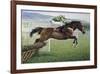 Istabraq at Cheltenham II-Susan Crawford-Framed Premium Giclee Print