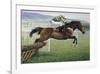 Istabraq at Cheltenham II-Susan Crawford-Framed Premium Giclee Print