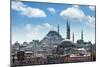 Istanbul Cityscape in Summer Time-mr. Smith-Mounted Photographic Print
