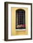 Istanbul, Turkey, Building Exterior Window-Julien McRoberts-Framed Photographic Print