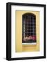 Istanbul, Turkey, Building Exterior Window-Julien McRoberts-Framed Photographic Print