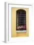 Istanbul, Turkey, Building Exterior Window-Julien McRoberts-Framed Photographic Print