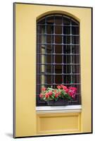 Istanbul, Turkey, Building Exterior Window-Julien McRoberts-Mounted Photographic Print