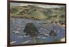 Isthmus Harbor, Catalina, California-null-Framed Art Print