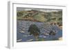 Isthmus Harbor, Catalina, California-null-Framed Art Print