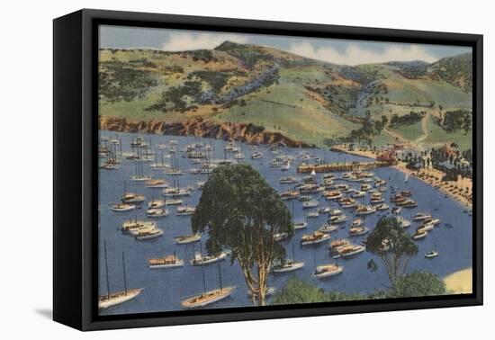 Isthmus Harbor, Catalina, California-null-Framed Stretched Canvas