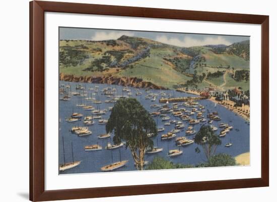 Isthmus Harbor, Catalina, California-null-Framed Premium Giclee Print