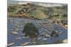 Isthmus Harbor, Catalina, California-null-Mounted Premium Giclee Print