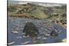 Isthmus Harbor, Catalina, California-null-Stretched Canvas