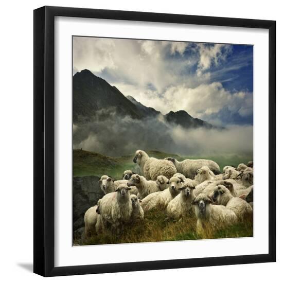 Premium Photographic Print, , large