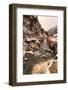 It Could Be Icy in the Desert-Martina Roth Kunst-Foto-Design-Framed Photographic Print