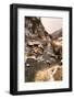 It Could Be Icy in the Desert-Martina Roth Kunst-Foto-Design-Framed Photographic Print