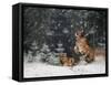 It is snowing-Michaela Firesova-Framed Stretched Canvas