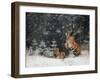 It is snowing-Michaela Firesova-Framed Photographic Print