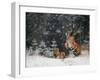 It is snowing-Michaela Firesova-Framed Photographic Print