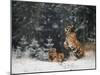 It is snowing-Michaela Firesova-Mounted Photographic Print