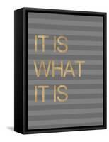 It Is What it Is Stripes-Miyo Amori-Framed Stretched Canvas