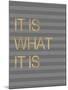 It Is What it Is Stripes-Miyo Amori-Mounted Art Print