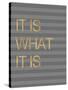 It Is What it Is Stripes-Miyo Amori-Stretched Canvas