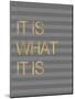 It Is What it Is Stripes-Miyo Amori-Mounted Art Print