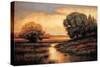 It^s a Beautiful Day I-Jeffrey Leonard-Stretched Canvas