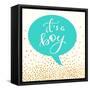 It's A Boy-Evangeline Taylor-Framed Stretched Canvas
