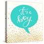 It's A Boy-Evangeline Taylor-Stretched Canvas