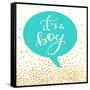 It's A Boy-Evangeline Taylor-Framed Stretched Canvas