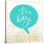 It's A Boy-Evangeline Taylor-Stretched Canvas