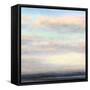 It’s a Dream-Suzanne Nicoll-Framed Stretched Canvas
